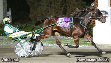 Witch Dali Romps In Niagara