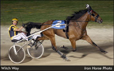 Witch Way Realizes Owner's Dream