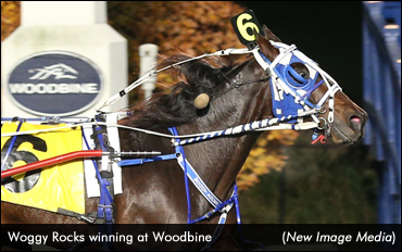 Woggy Rocks Upsets In Preferred