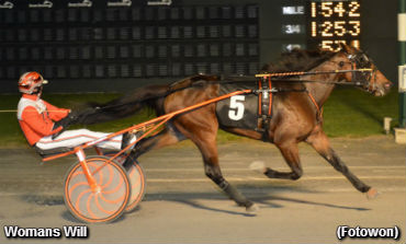 Matron Mania At Dover