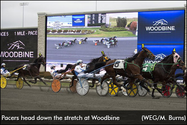 Woodbine's Final Boxing Day Matinee
