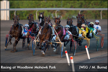 Mohawk To Welcome Back Fans