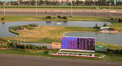 WEG Announces '09 Stakes Schedule
