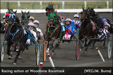 Open Letters To Ontario's Standardbred Industry