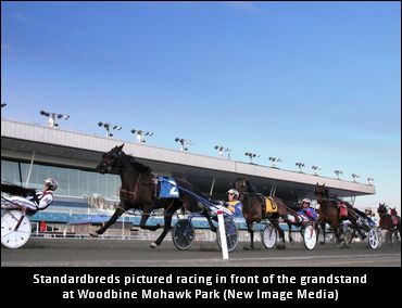 Mohawk ON-Sired Spring Series Unveiled