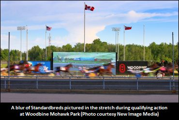 Down Under Mare Surfaces At Mohawk