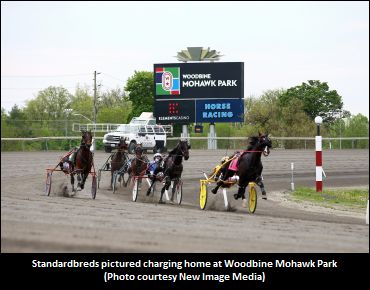 Woodbine's Corp. Responsibility Report