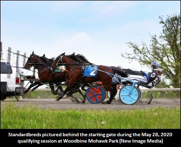 Babies, O'Brien Winners Qualify
