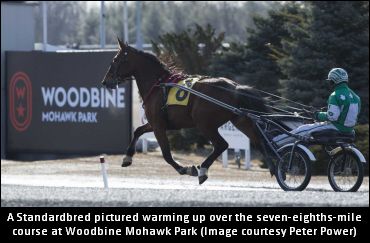 Mohawk’s Juvenile Series To Return