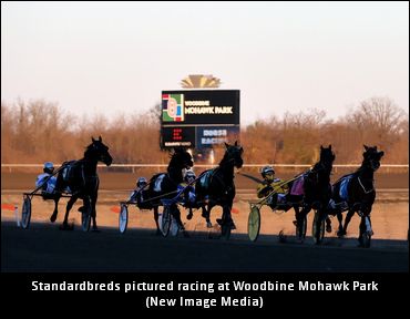 Trainers On Two-Year-Old Colt Pace