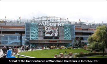 WEG Appoints New Board Members