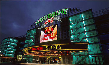 Four-Horse Accident At Woodbine