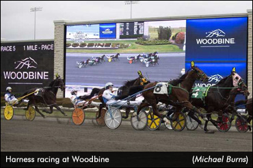 Huge Jackpot Hi-5 Hit At Woodbine