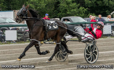 Fillies Flaunt It At Northside