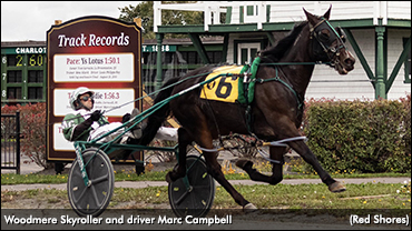 PEISHOA Award Winners Announced