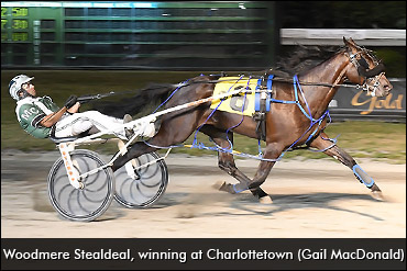 Can Woodmere Stealdeal Make It 11? 