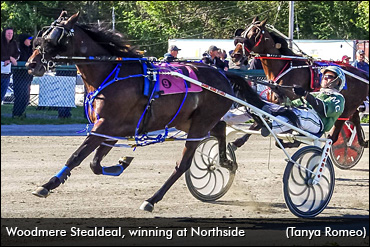 One More Start For Woodmere Stealdeal