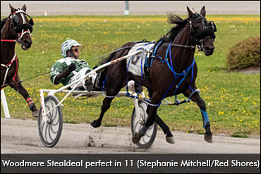 Woodmere Stealdeal Seeks ABC Title 
