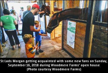 Successful Woodmere Open House