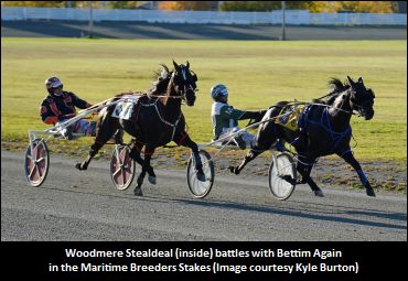 Track Records Fall In Maritime Breeders