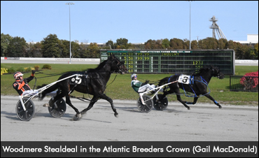 Atlantic Champions Crowned