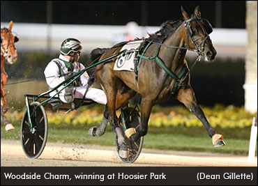 Where Is Woodside Charm?