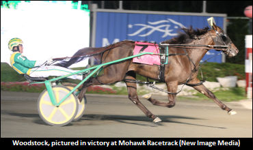 Woodstock To Sugar Valley Farm