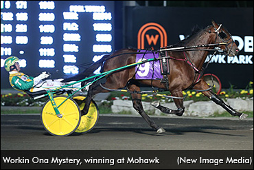 The Puzzle Of Workin Ona Mystery 