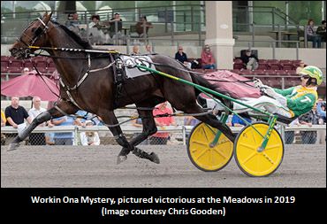 Workin Ona Mystery Aims To Solve Graduate Field