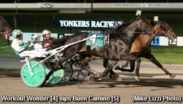 Faves Flop In New York Sires Stakes