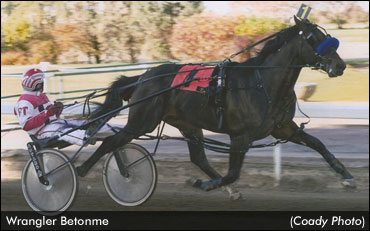 Betting On A Good Time