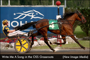Darling Fillies Impress In Grassroots