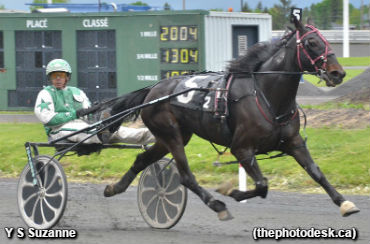 Trotters Battle In Quebec Bred Series