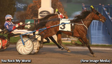 Favourites Foiled In Tie Silk Second Leg