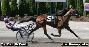 Tioga Record To You Rock My World