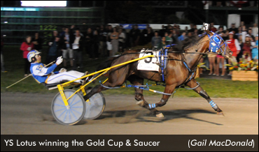 YS Lotus Wins Gold Cup & Saucer