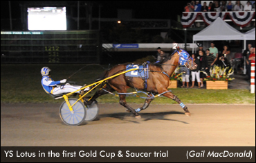 YS Lotus Wins Gold Cup & Saucer Trial