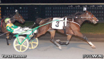 Matron Mastery For Yursa Hanover