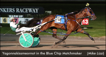 Repeat Winners In Last Leg