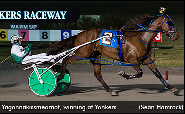 Milestone For Yagonnakissmeornot