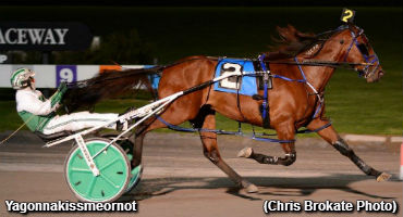 Faves Foiled In Blue Chip Matchmaker