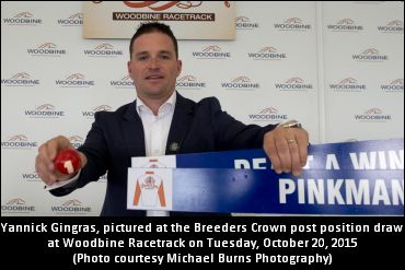 Gingras Is Gearing Up