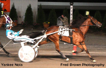 Yankee Nola In Tioga Open; Five For Marohn