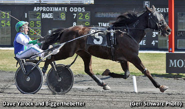 Yarock Takes NAADA Trot