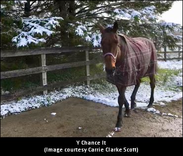 Classy Trotters Join OSAS