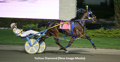 Will Yellow Diamond Reign In Lynch? 