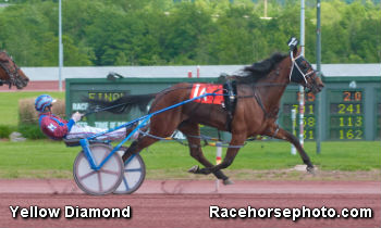 Yellow Diamond Dazzles In Lynch 