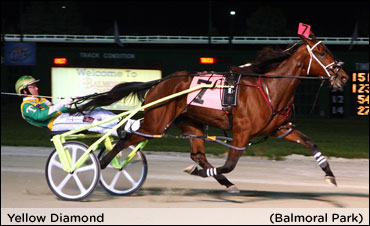 American Nationals Provide Plenty Of Thrills