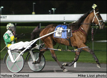 Yellow Diamond, Jkmusicofthenite In Lady Maud Elims