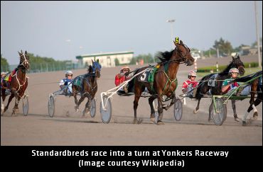 ‘Angel’ In Top Flight At Yonkers